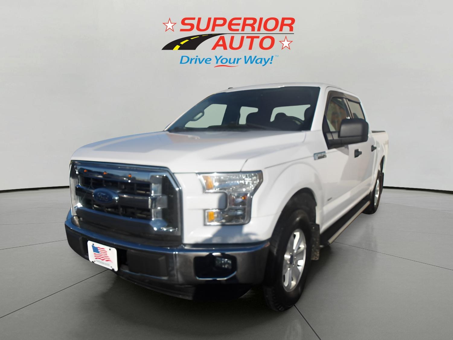2017 Ford F-150 XL's photo